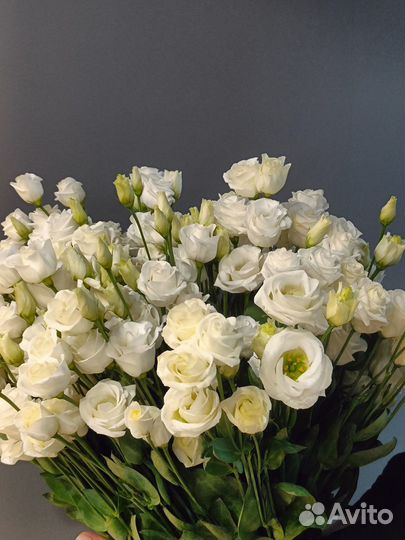 Эустома Цветы с доставкой