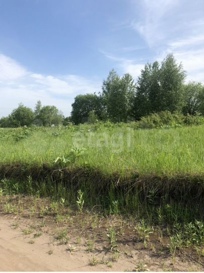 Участок 15 сот. (СНТ, ДНП)