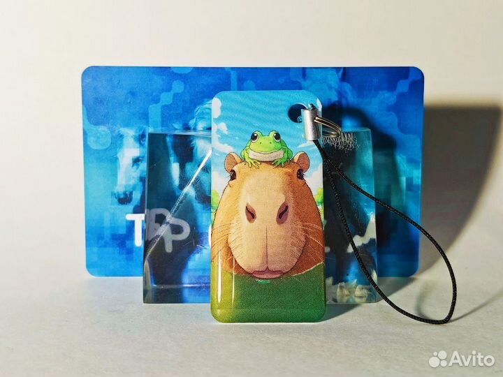 Брелок Тройка капибара с лягушкой аниме