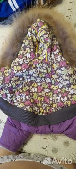 Одежда для собак