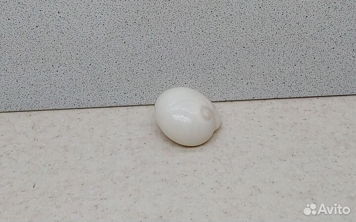 Белая лунная 4,4 морская ракушка раковина