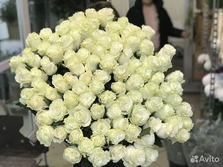Букеты 101 роза Эквадор Дешевые букеты Мытищи