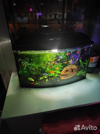 Аквариум