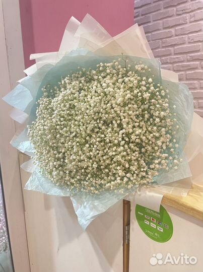 Букет из гипсофилы