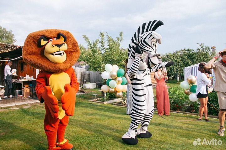 Аниматор на детский день рождения