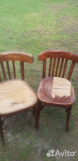 Стул венский Лигна