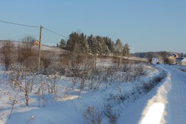 Участок 10 сот. (ИЖС)