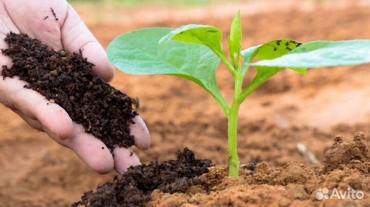 Плодородный грунт