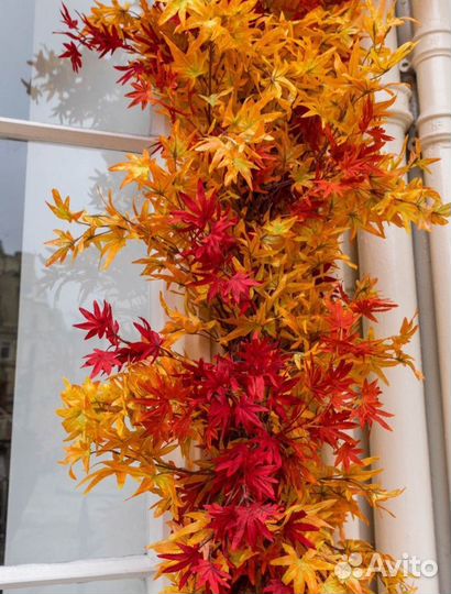 Искусственное озеленение Оформление входа ресторан