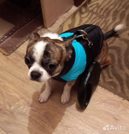 Ателье Версаль