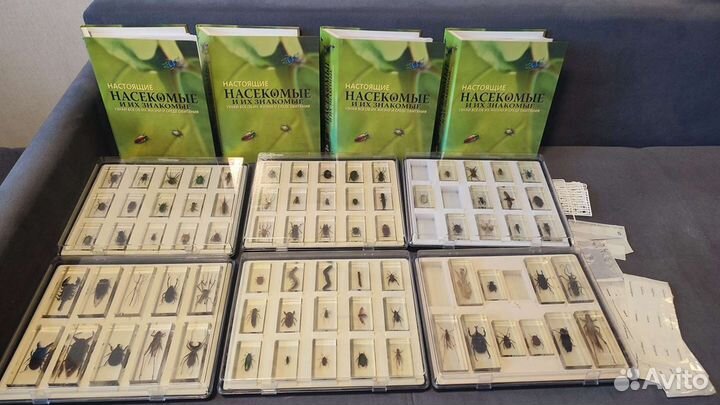 Самая первая коллекция 