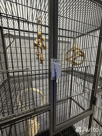 Клетка Triol 5005