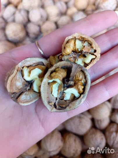 Грецкий орех