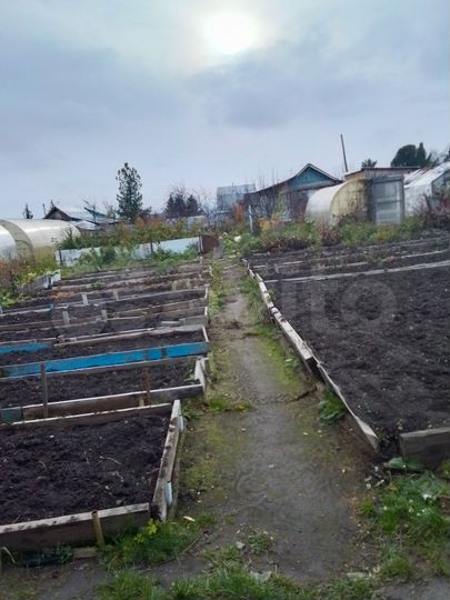 Дача 30 м² на участке 5 га