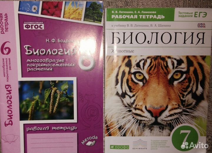 Рабочие тетради