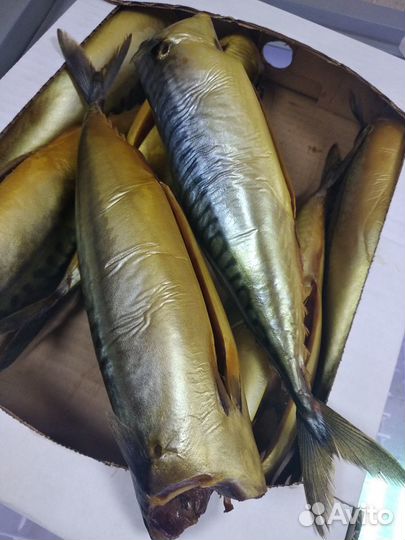 Скумбрия копченая