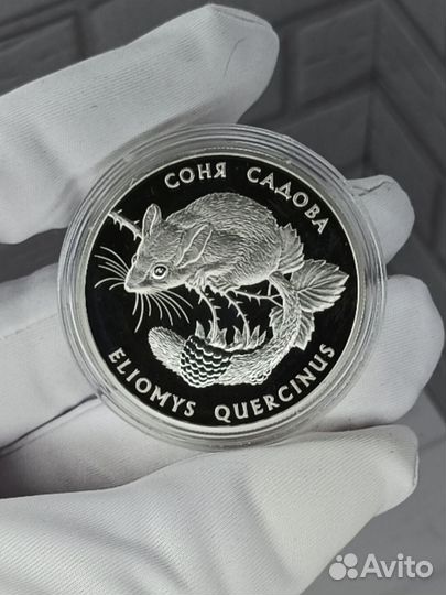 Монета Украины, Соня Садовая