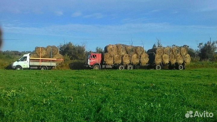 Сено 2024года заготовки возможна доставка