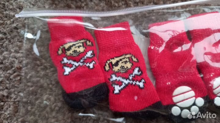 Обувь для животных