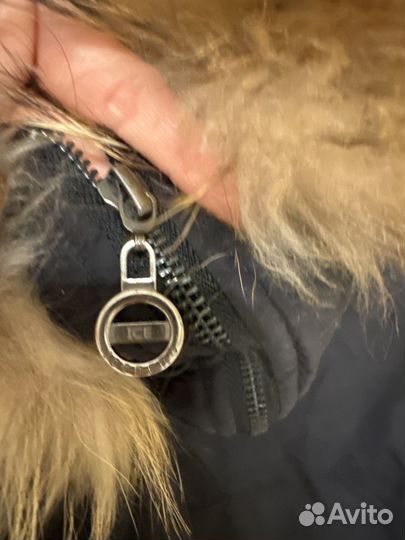 Парка осень весна iceberg