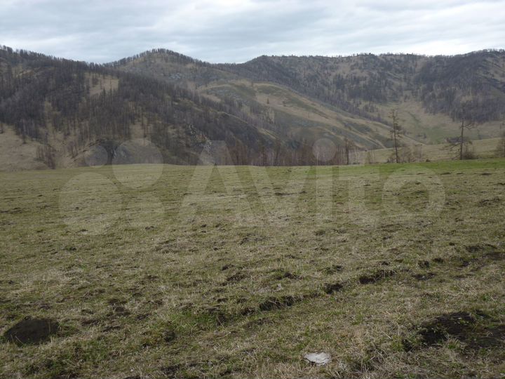 Участок 5,16 га (СНТ, ДНП)