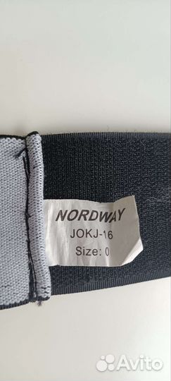 Ракушка хоккейная