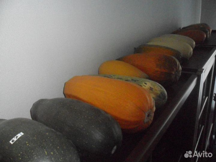 Тыква, кабачки, сок томатный, помидоры,сухофрукты