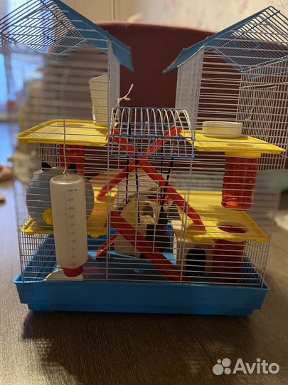 Клетка для грызунов большая