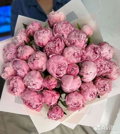 Пионы Букет