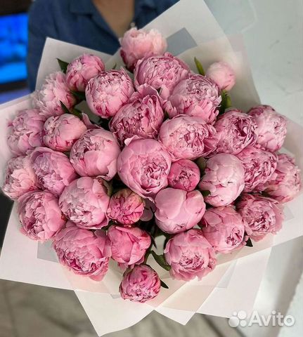 Пионы Букет