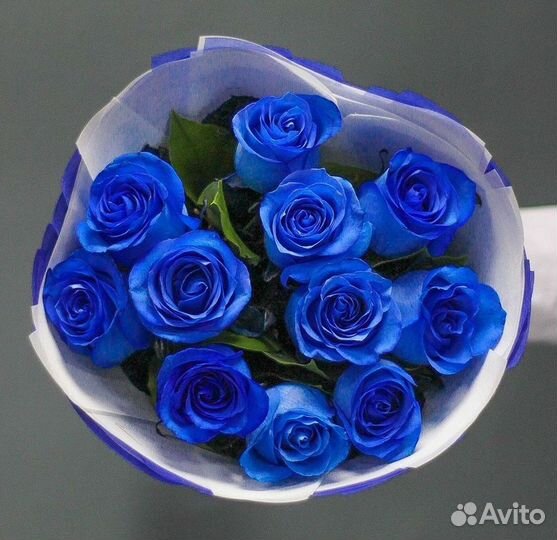 Синие розы. Букеты Цветы доставка