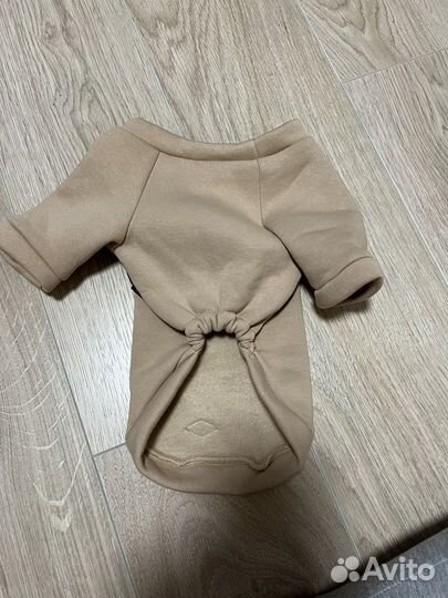 Одежда для средних собак