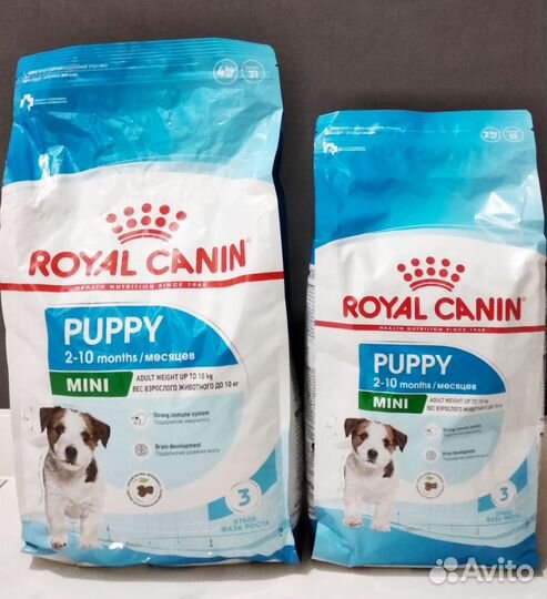 Royal Canin Starter паштет, консервы, сухой корм
