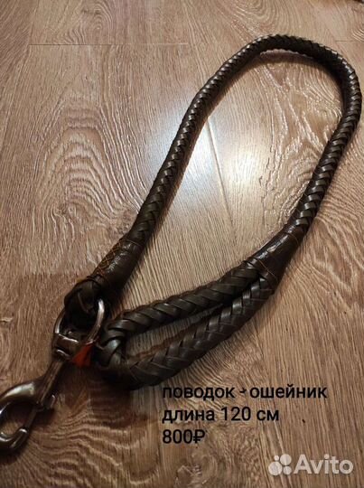 Ошейник и поводок для больших собак