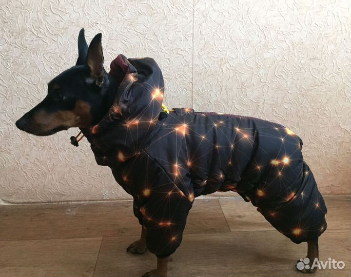Зимний комбинезон для собак на цвергпинчера кобель