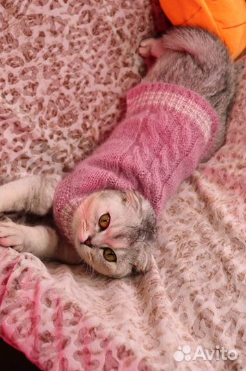 Свитер для собачек и кошек