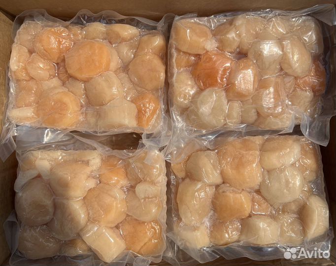 Оптом Гребешок приморский