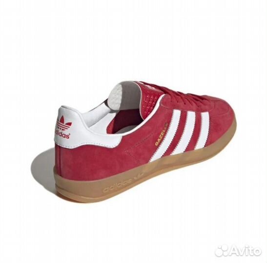 Adidas Gazelle Indoor Scarlet Cloud White