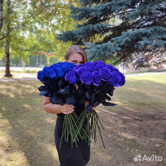 Букет синих роз, Эквадор, 60см 85 шт