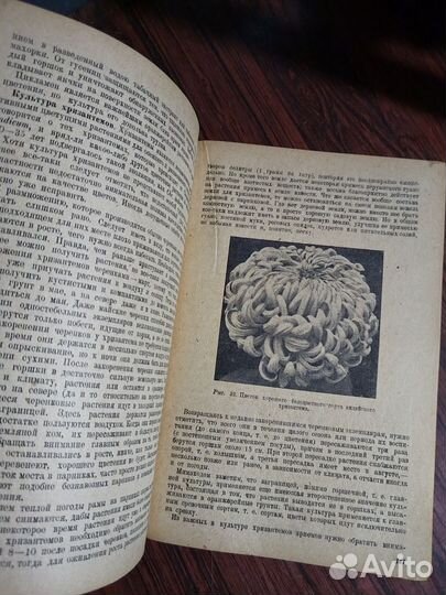 Цветоводство 1934г. Кичунов