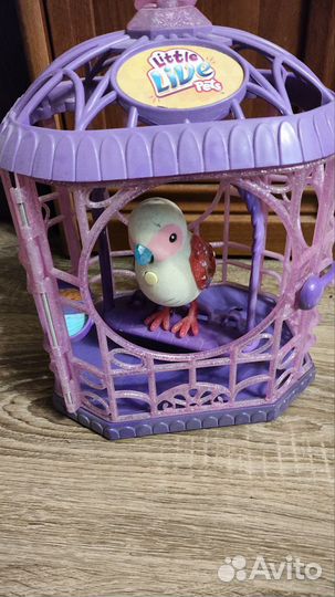 Птичка little live pets