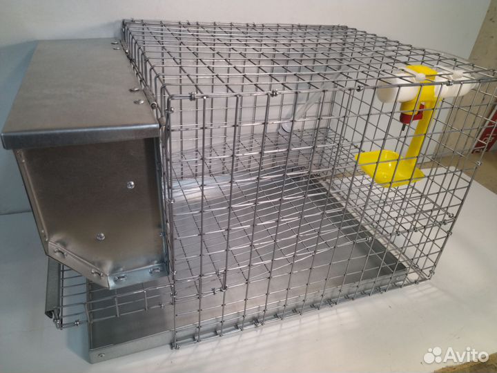 Бункерная кормушка для перепелов