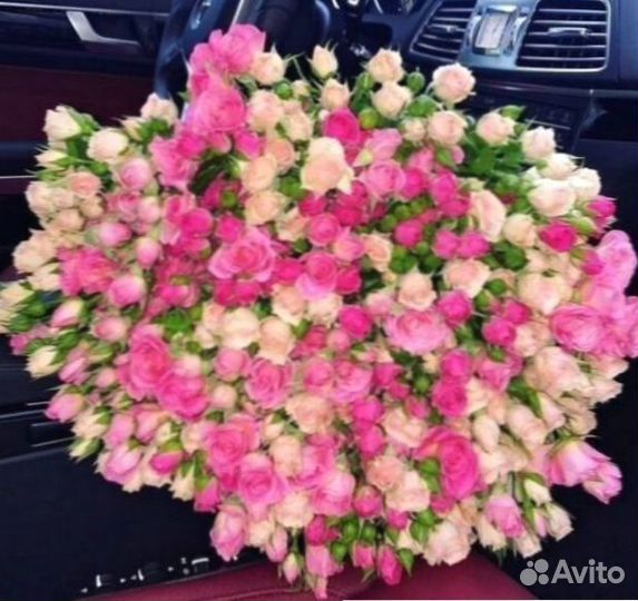 Розы эквадор