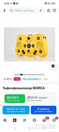 Тифлофлешплеер войса