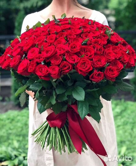 Высокие розы Гигантские розы Доставка цветов