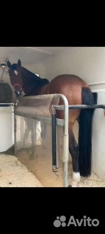 Перевозка лошадей
