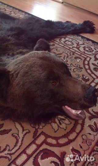 Ковер новый