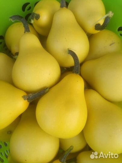 Тыква-груша декоративная Семена