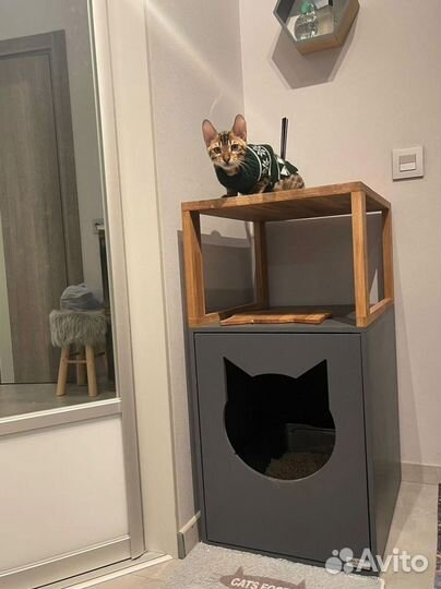 Туалет домик для Кошек