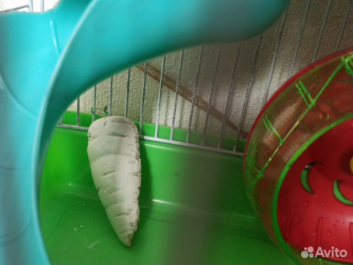 Клетка для грызунов